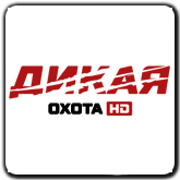 Дикая HD охота